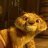 tai lung